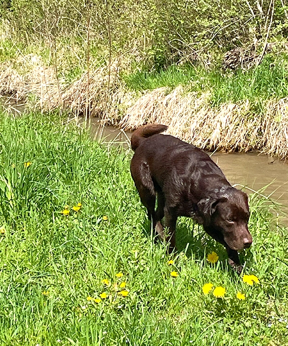 Apollo am Wasser